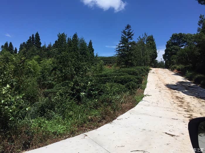 江津区西湖镇gdp_重庆市江津区西湖小学