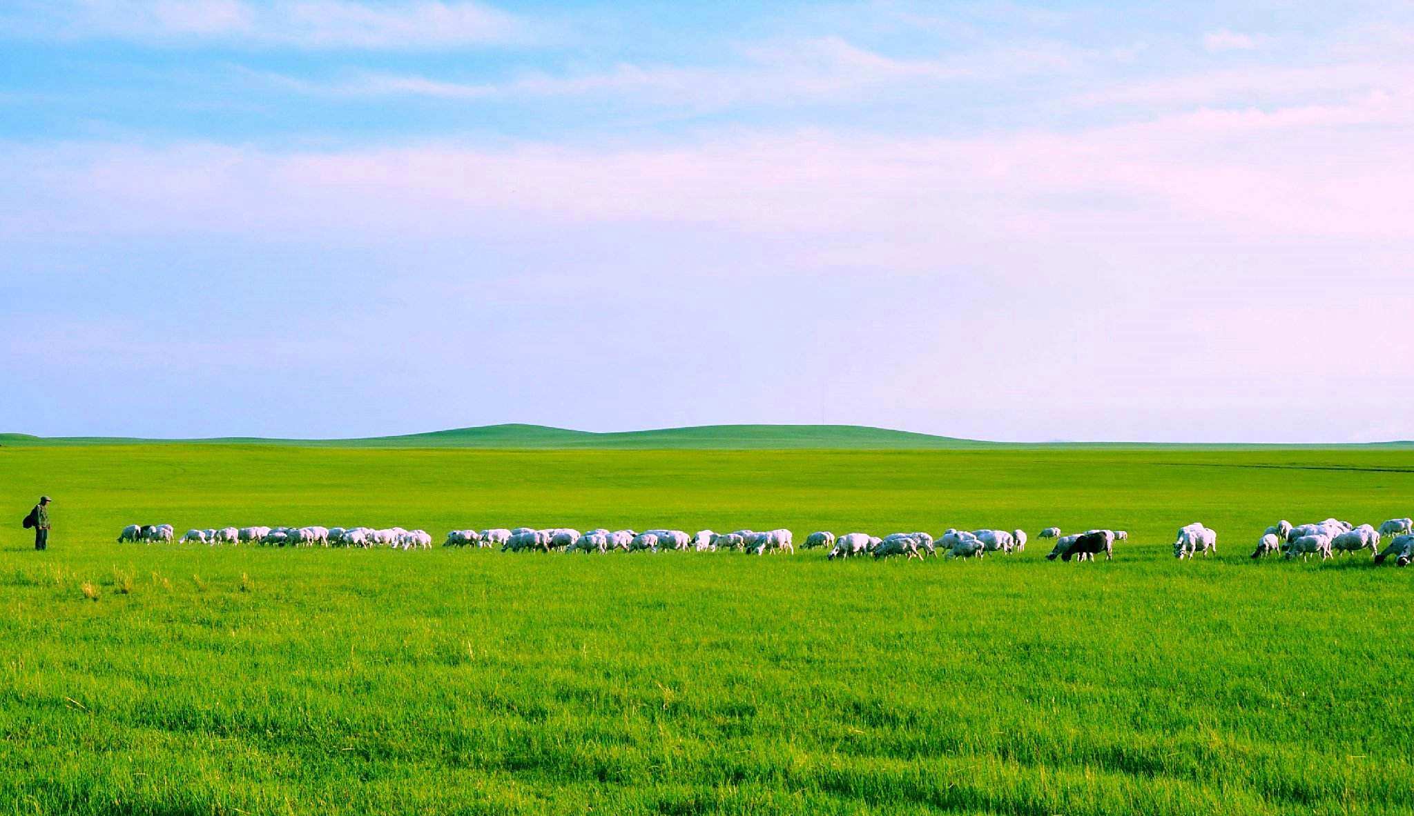 出去旅行,感受风吹草地见牛羊.