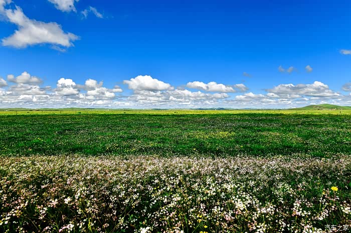 大草原情歌简谱_呼伦贝尔大草原简谱(2)