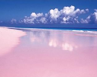 巴哈马群岛上哈勃岛的粉色海滩最性感的海滩