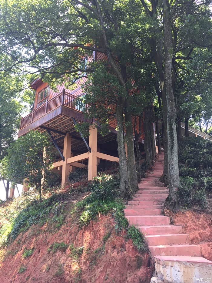 江津区西湖镇gdp_重庆市江津区西湖小学(3)