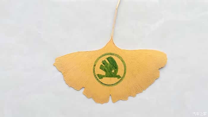 树叶书签，秋天的礼物