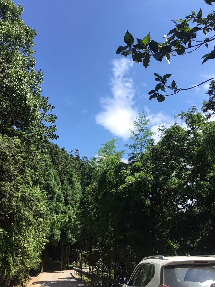 江津区西湖镇gdp_重庆市江津区西湖小学(2)