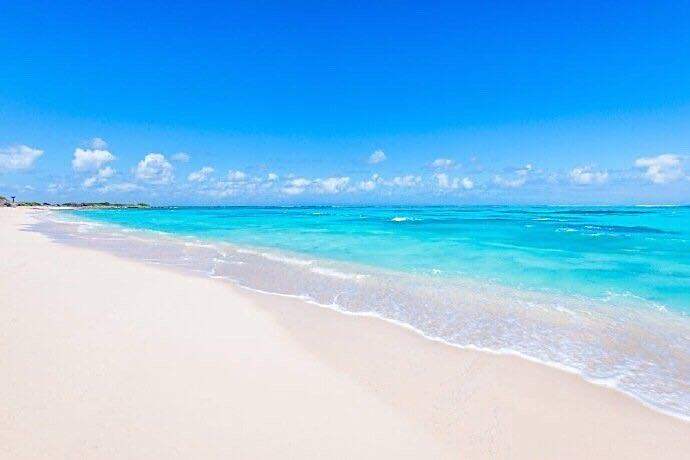 这里有世界上最清澈的海水,最美的海滩.