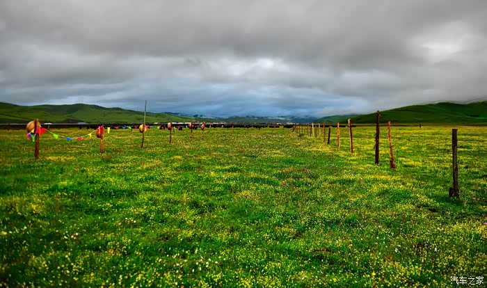 大草原情歌简谱_呼伦贝尔大草原简谱(2)