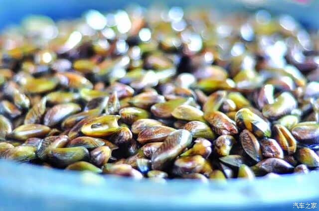 梦里花落知多少_厉家菜人均多少