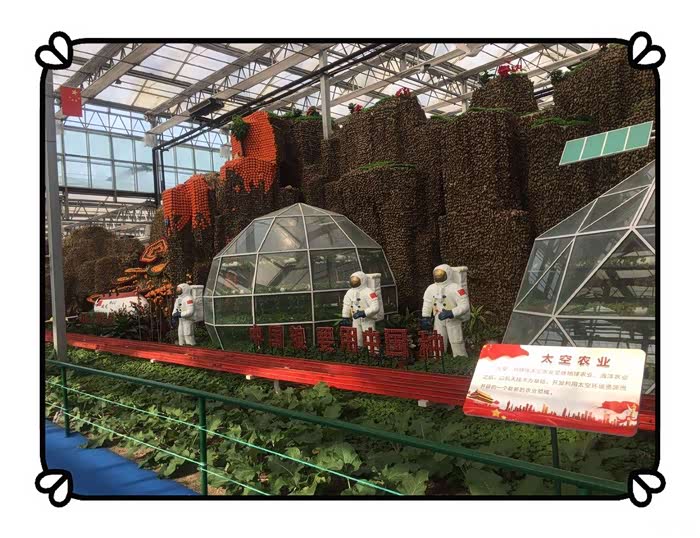 多彩六月畅游临沂农展馆