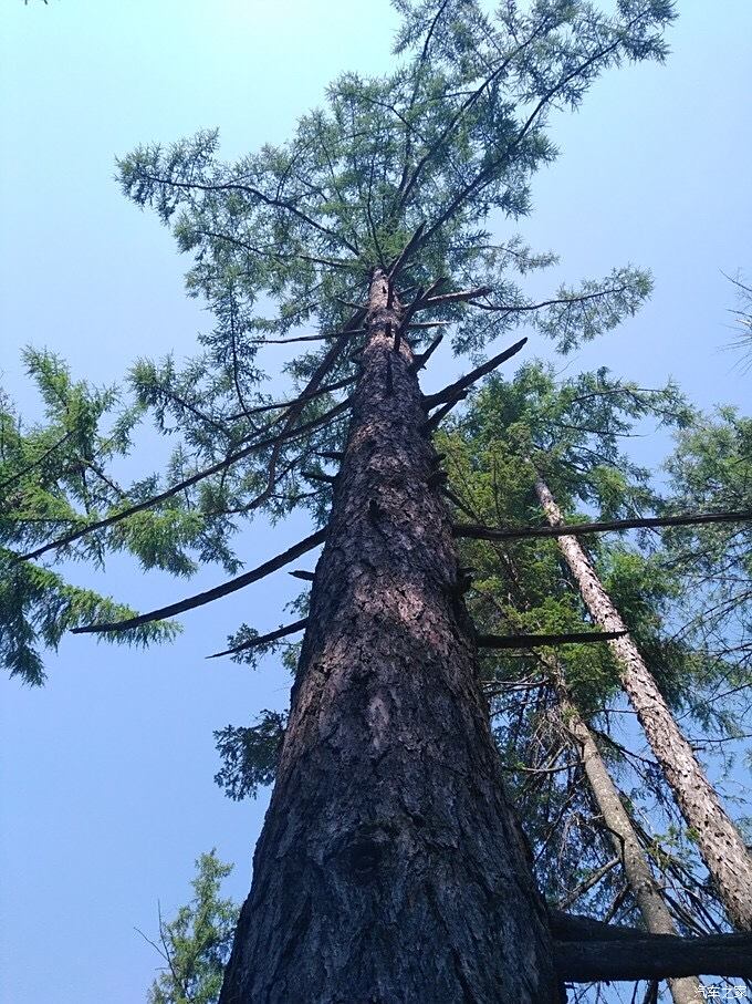 21摄氏度夏天,你值得拥有!大美长白山