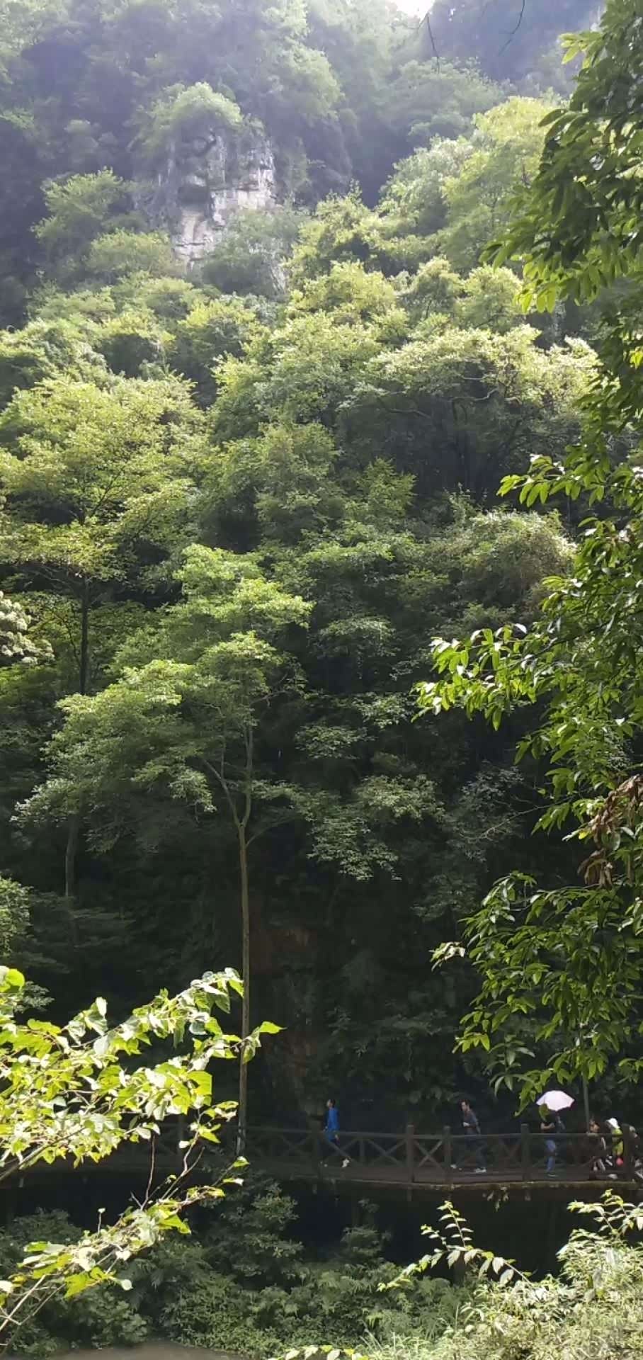 层叠翠 汽车之家中国站