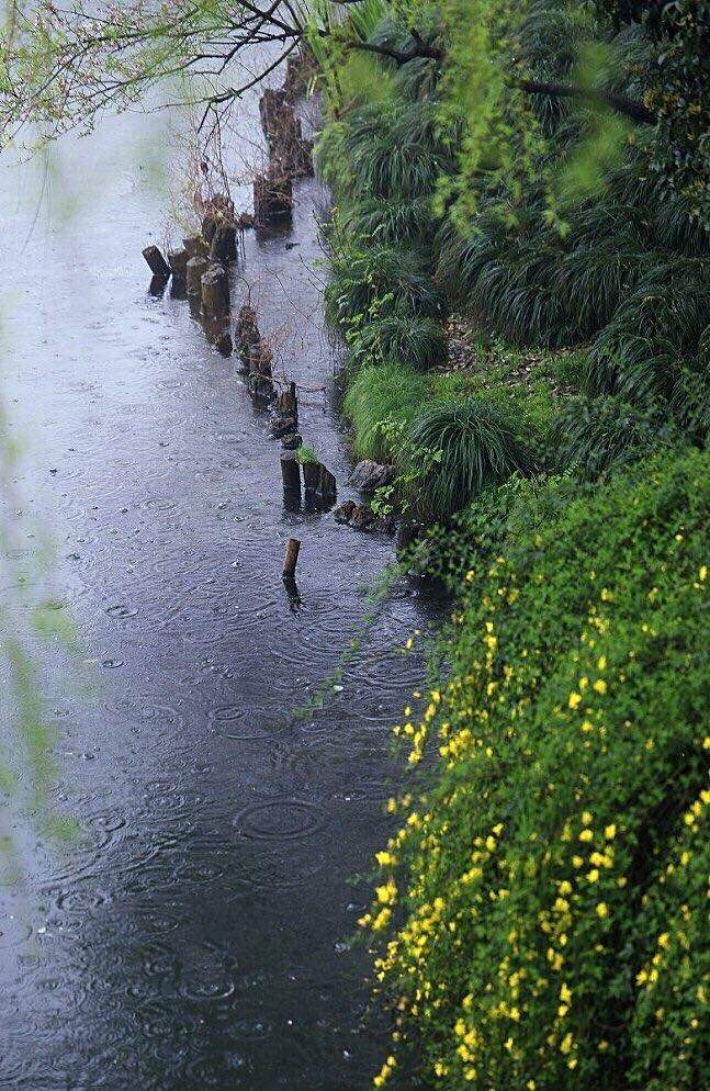 连雨不知春去,一晴方觉夏深