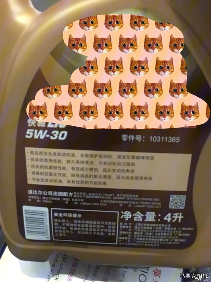 500_wKgHPlsrjzyAMt92AAN1bkTRdng891.jpg
