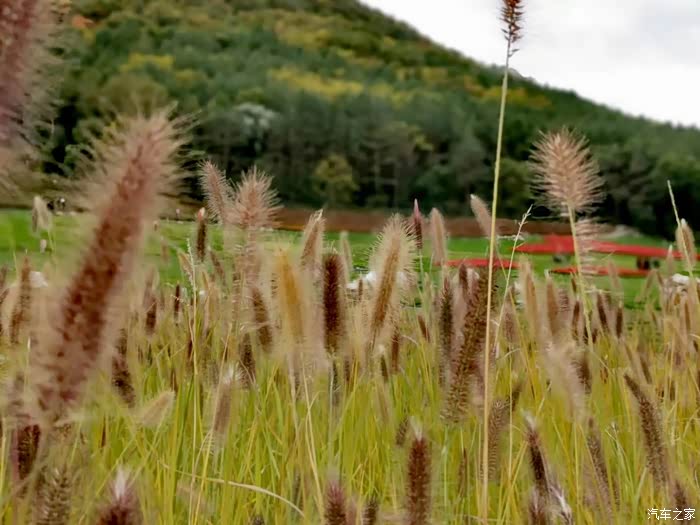 草原之旅简谱_钟丽燕草原之旅简谱