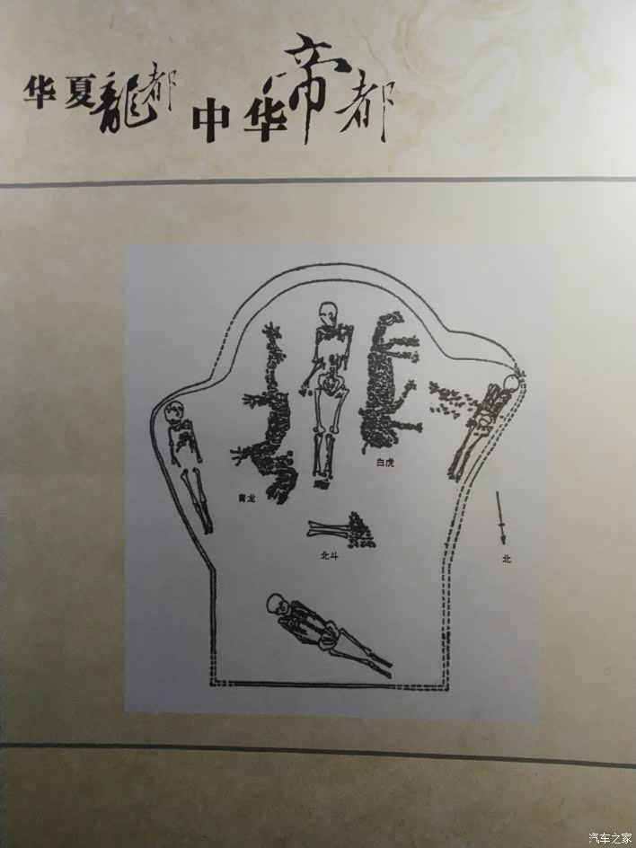 先来了解一下中华第一龙 还有一部分人一直跟随讲解员听讲解 看