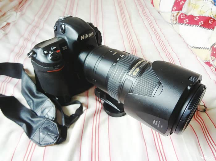 【图】猫发烧的代价_广西论坛_汽车之家论坛