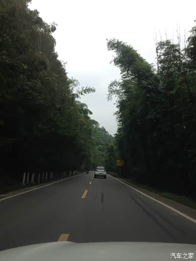 【四川C3XR车主俱乐部】雾里山路十八弯,水墨