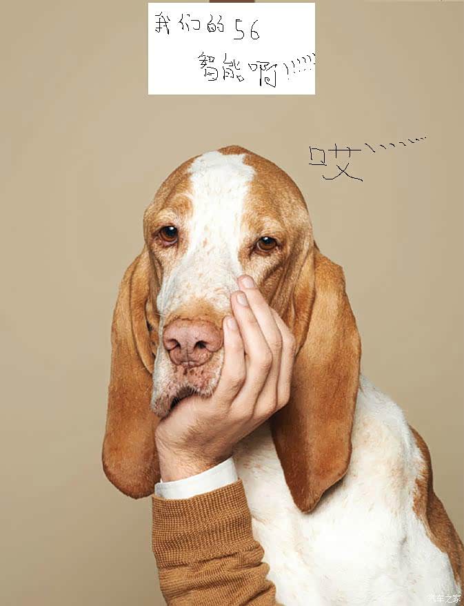 啥时候····有啊···我的那个她·····看着就舒服···但是··没有啊···