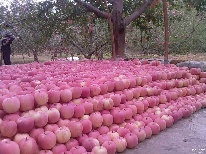 求收购。求你啦。快来吧。我等的买车呢。