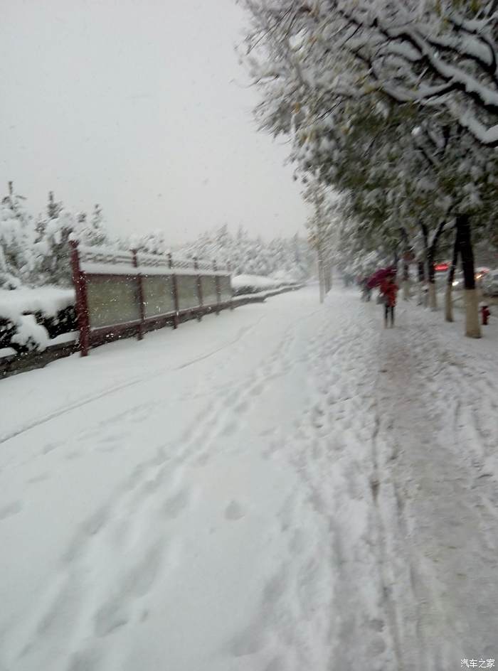 下大雪猜成语_下大雪的图片