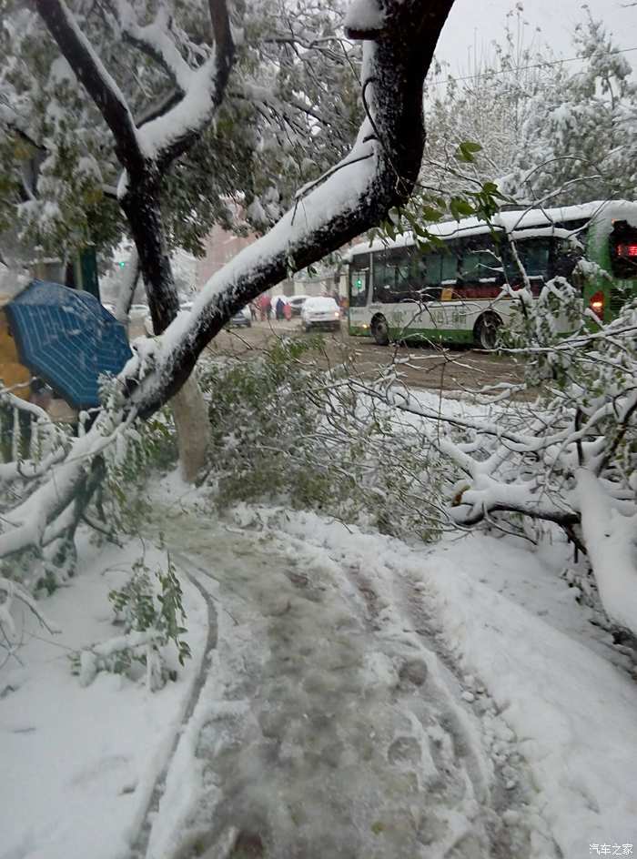 下大雪猜成语_下大雪的图片