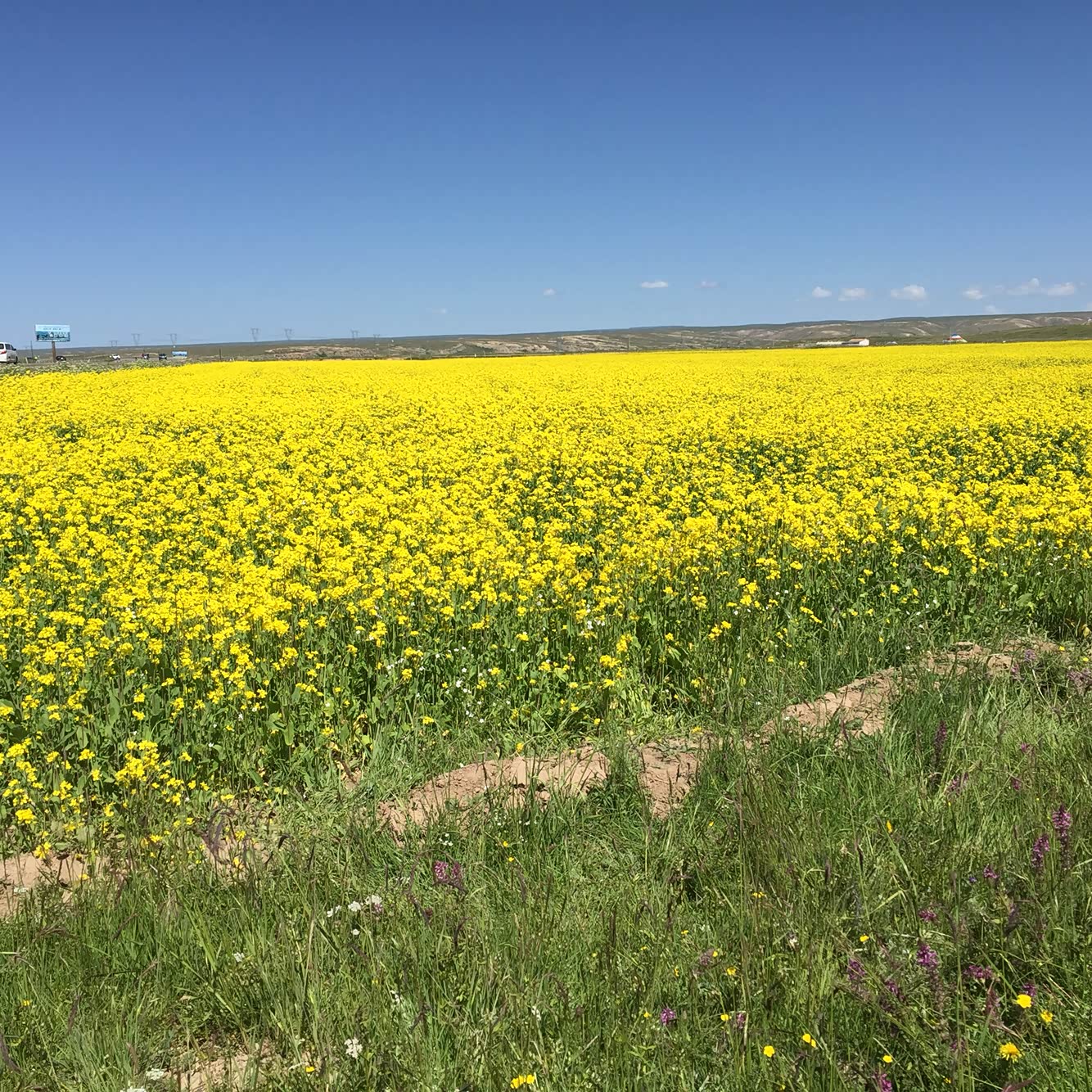 【图】半夜睡不着觉,把心情哼成歌,只好到屋顶