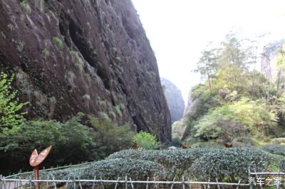 江浙赣闵皖自驾游之25福建武夷山的大红袍景区