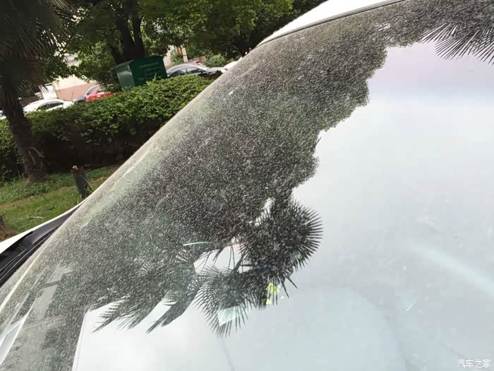 【图】一夜之间成了白毛老妖!。罄竹难书!_天