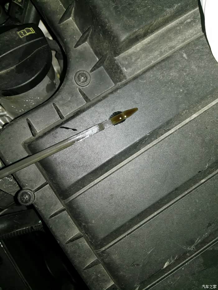 【图】新捷达烧机油