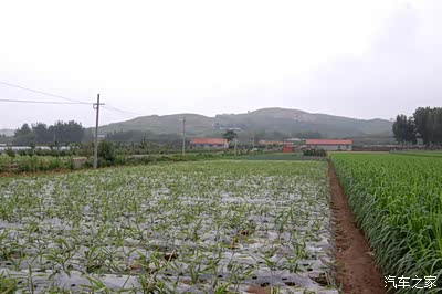 驱车辉渠看梯田!