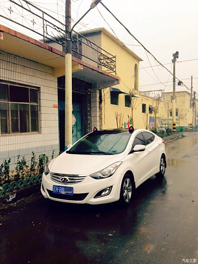 【图】虎哥长途奔跑山东