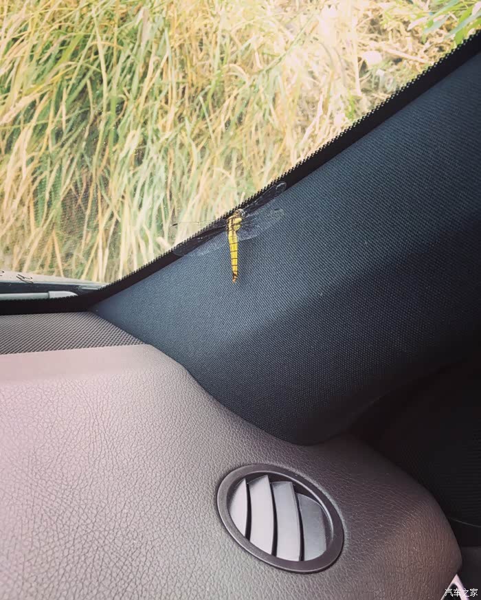 【图】奔驰GLE320刹车异响_奔驰GLE(原M级