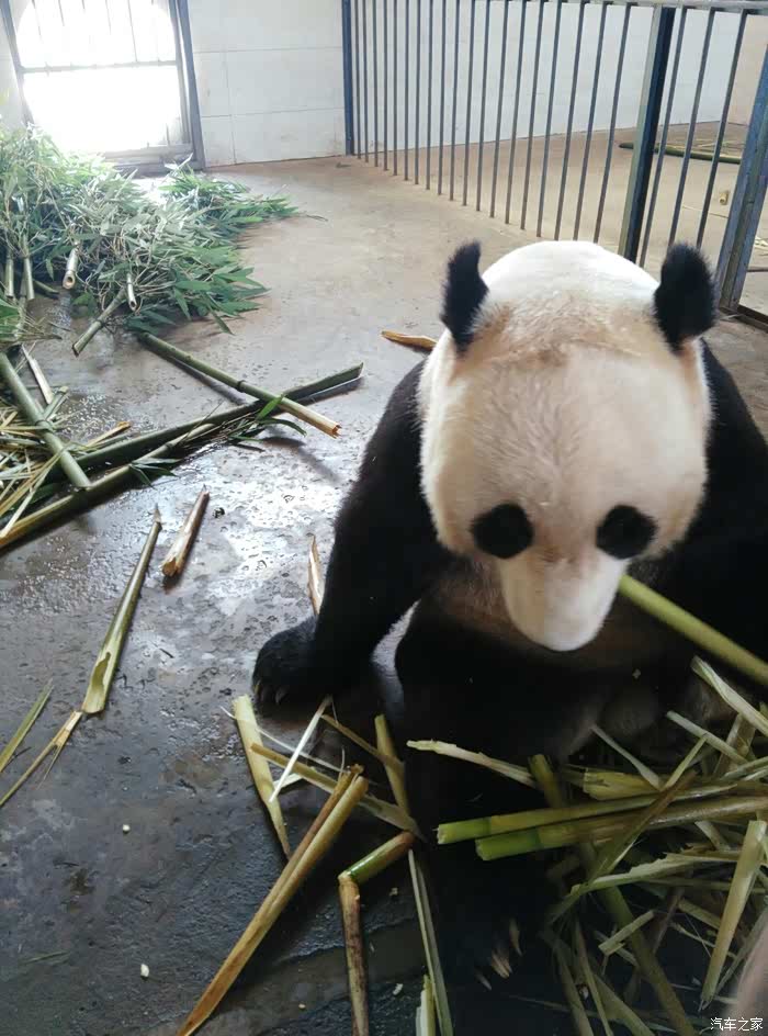 【图】我开车从西安到成都了,四川自驾游。_汉