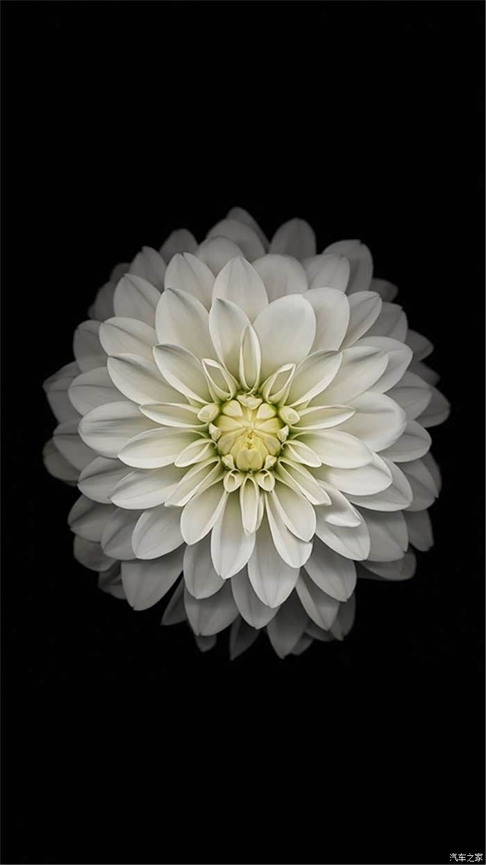 【图】翼虎音响效果问题