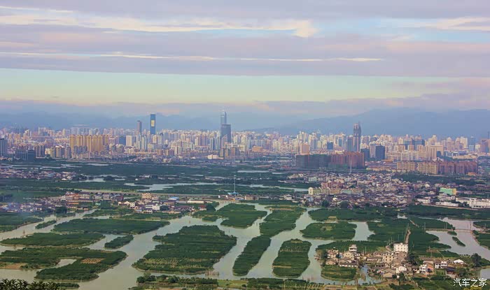 温州三垟湿地风光