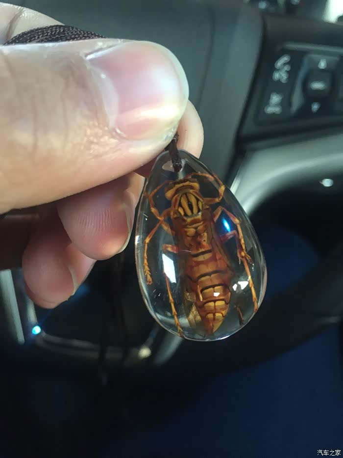 【图】挂只真的大黄蜂_科迈罗论坛_汽车之家