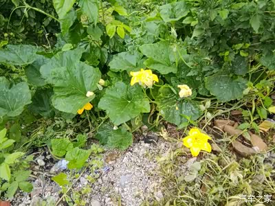 开着锐胜去雾灵山农家小院