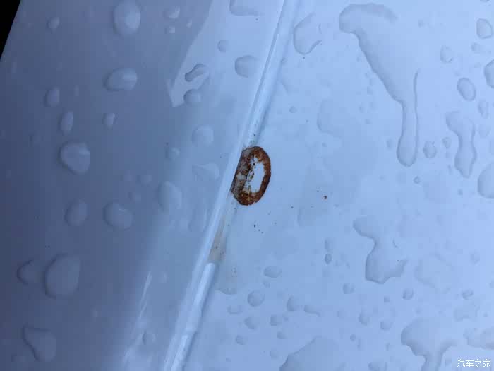 【图】atsl白色,车顶有虫窝怎么清理,有经验老司