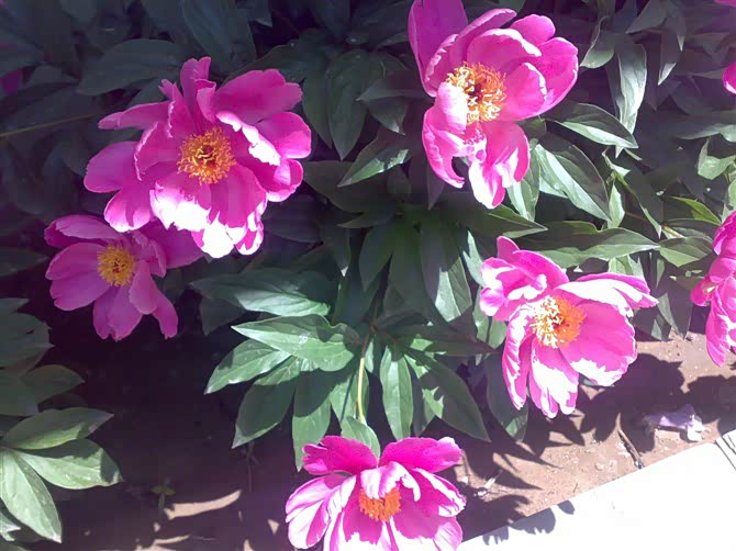 【图】春暖花开带上我的小车去做保养_瑞风S