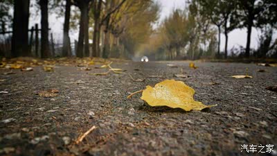 东北比亚迪车友之家受邀参加东北二手车博览会