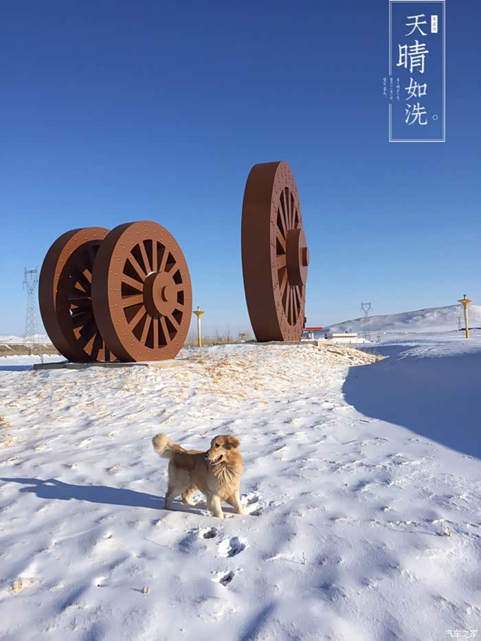 有木有小伙伴养土拨鼠的?