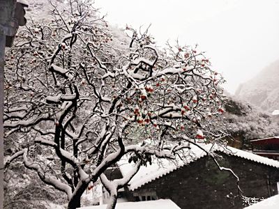 致敬2015年的冬天!_北京