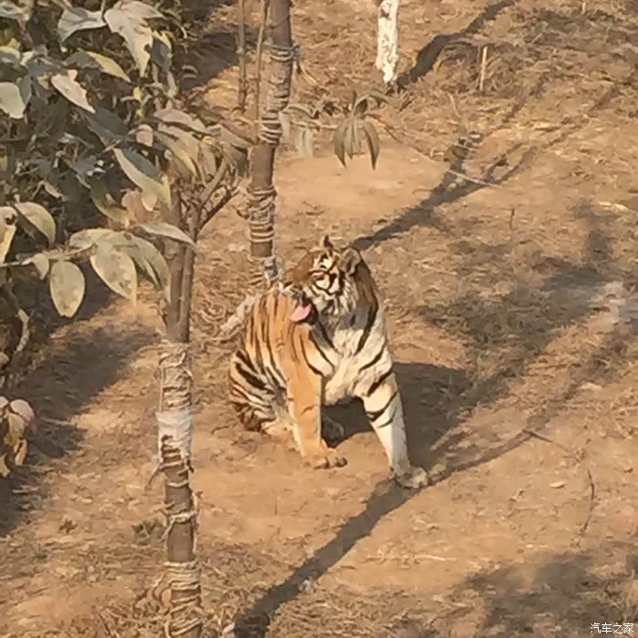 【图】车的爱护,谁与我争锋!