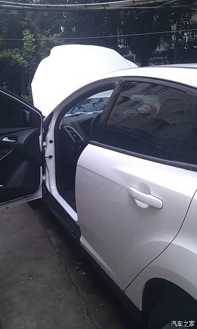 七月七,看巧云--我的完美小情人新福克斯