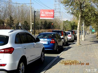 一位流浪老人和一群流浪狗的故事_吉林