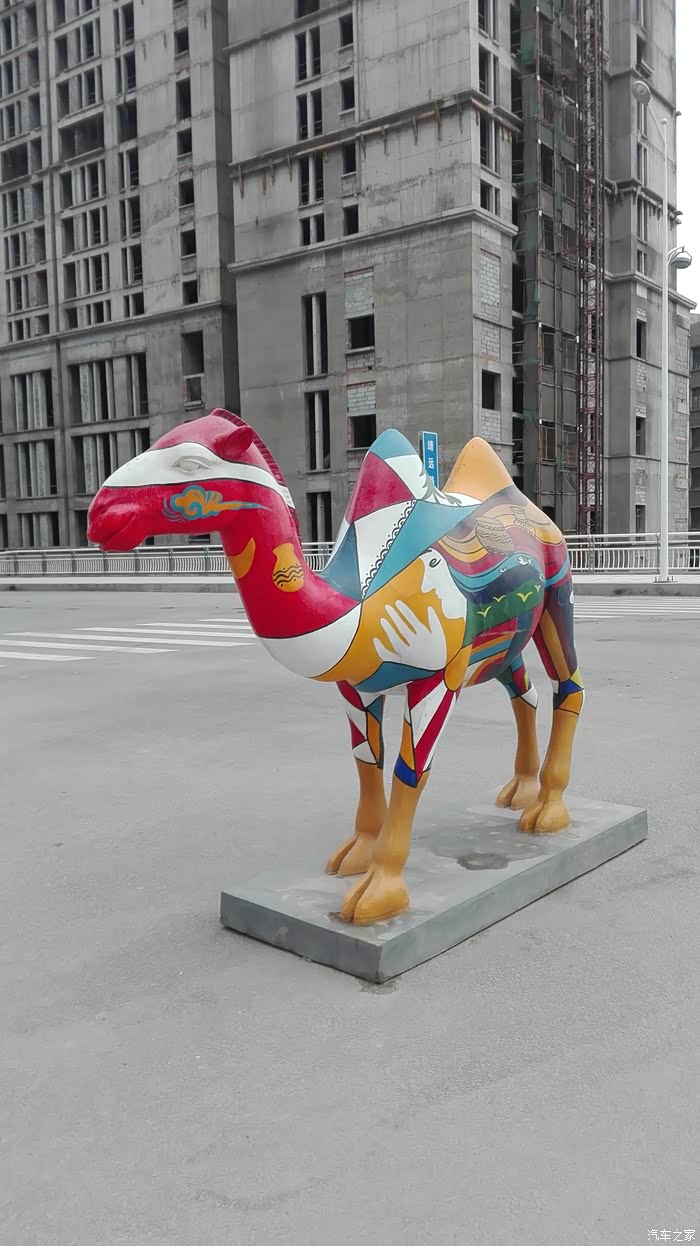 【图】这个骆驼花骚呀_甘肃论坛_汽车之家论