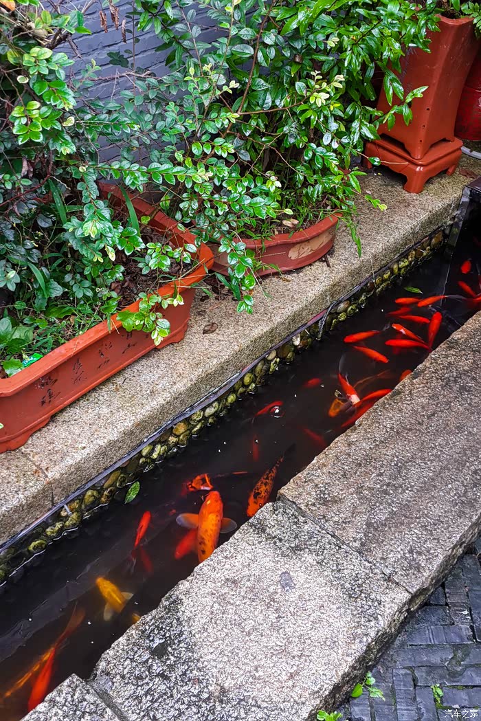 【图】【上海周边走走,国庆古镇+苏州爬山】_