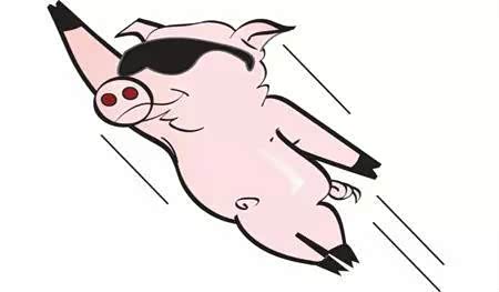 【图】站在风口上的猪都能飞起来，为啥观致还没飞起来?_观致5论坛_汽车之家论坛