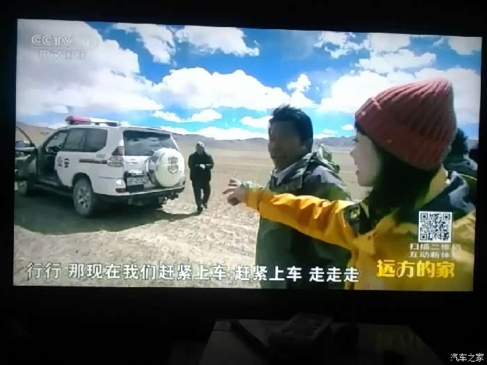 【图】中央4高原5000米无人区拍野生动物这是