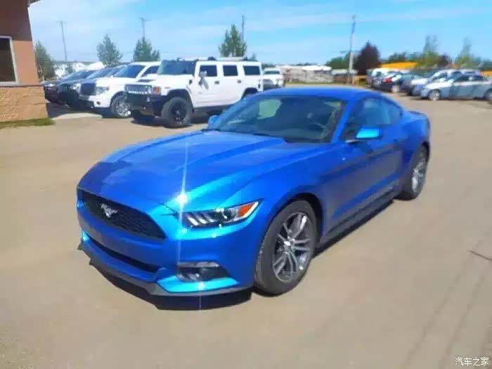 【图】来来来…看看这是什么蓝…_Mustang论