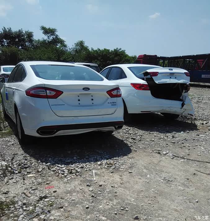 【图】不是猛龙不过江!不是猛照咱不发!_瑞虎