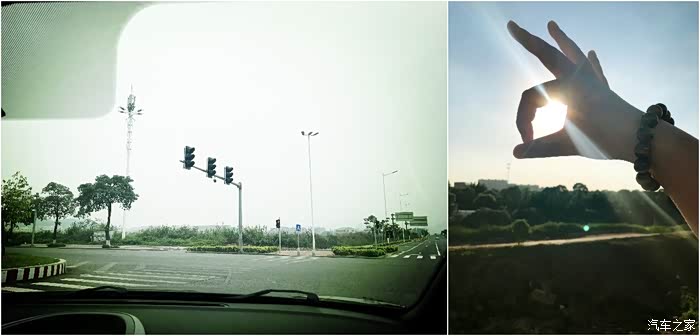 梦到毛头鹰落在自己的园子里，寓意与解读的深度探索